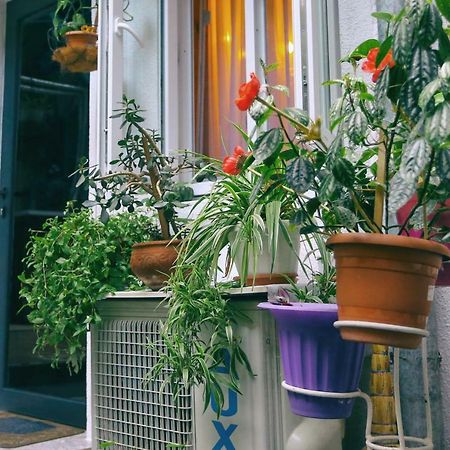 Apartment On Freedom Square Diuma Street تبليسي المظهر الخارجي الصورة
