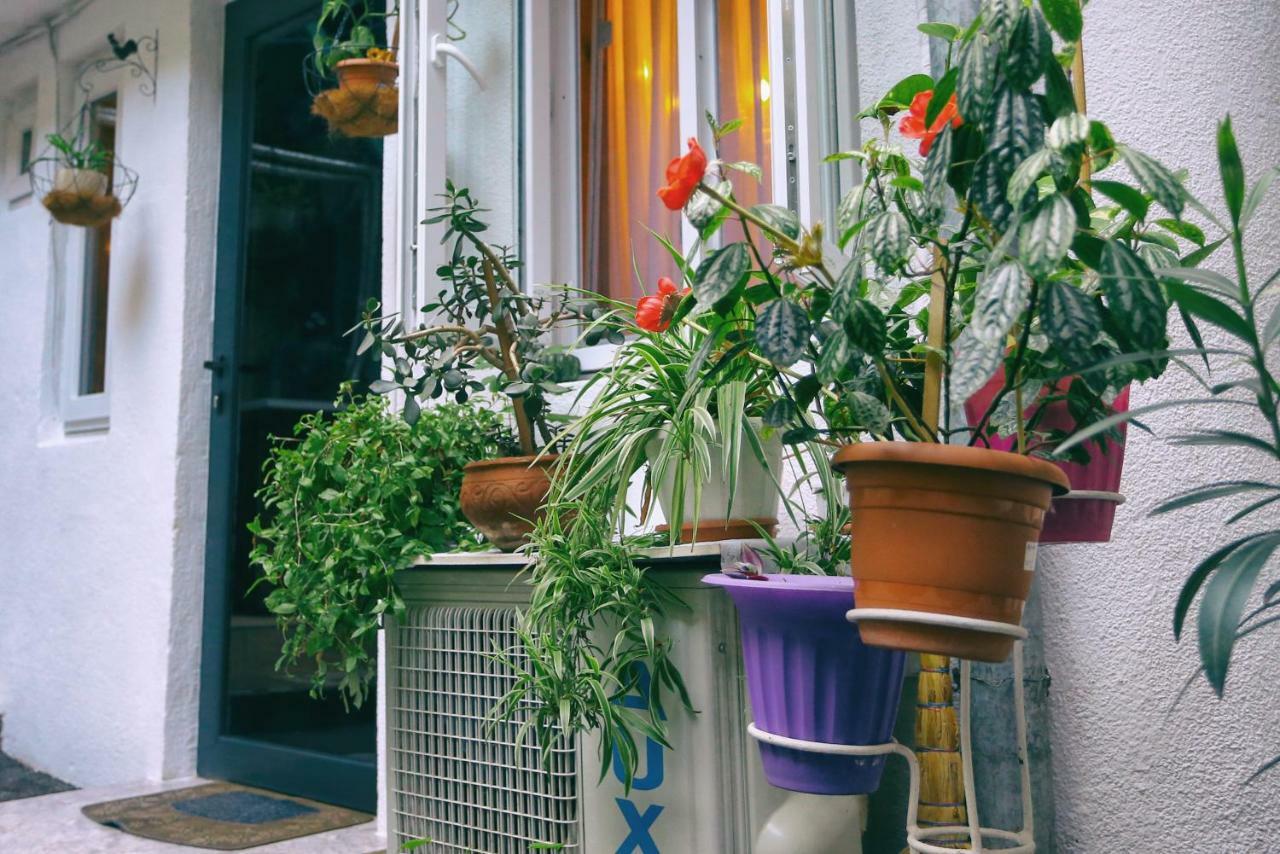 Apartment On Freedom Square Diuma Street تبليسي المظهر الخارجي الصورة